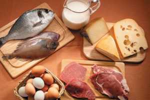Imagen ilustrativa del artículo Alimentos con Proteínas de Calidad